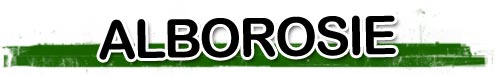 Alborosie